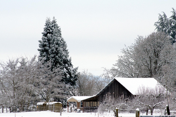 Snowy Farm